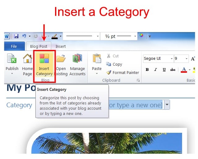 insert-category Post image